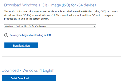 Windows 11 disk image download page